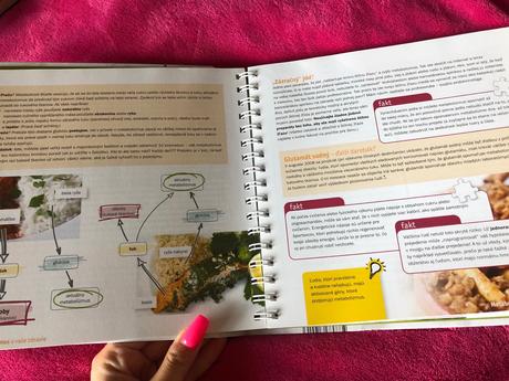 Plán b-30-dňový manuál zdravého chudnutia-bukovský, 