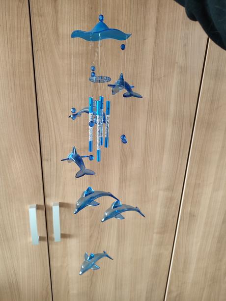 Zvonkohra s delfínmi, 