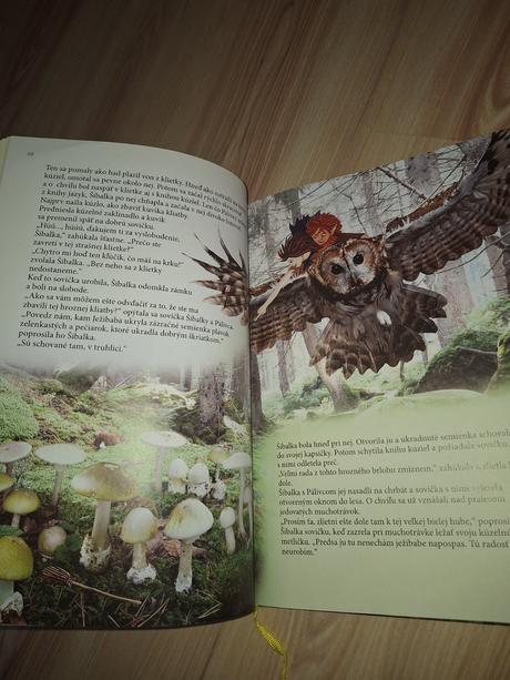 Hubové kráľovstvo, 