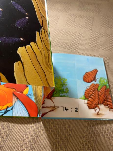 Chrobák max delenie je hračka,