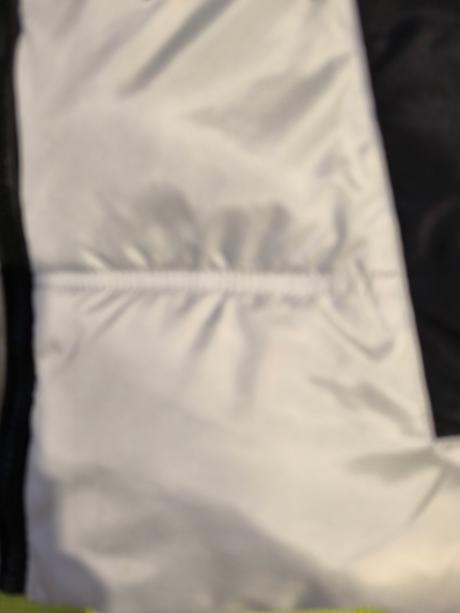 Vesta, chapter young,158