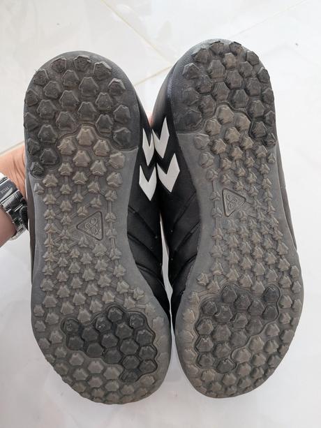 Halovky hummel, 37