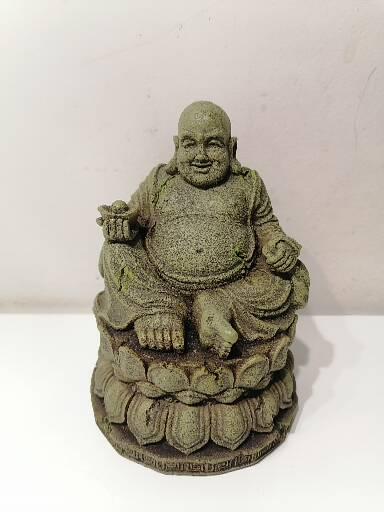 Budha do teráriá, 