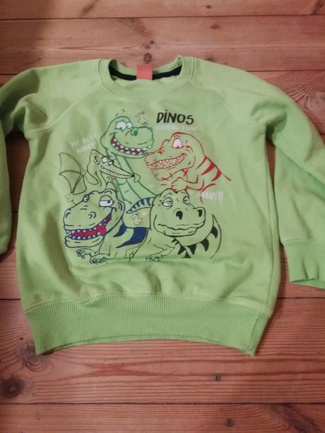 Mikina dino, kiki&koko,116