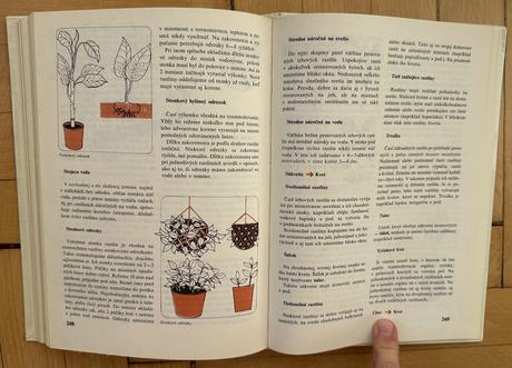 Kniha naše izbové kvetiny lajos lelkes,