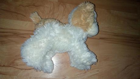 Šteniatko s trblietkami v očiach, 