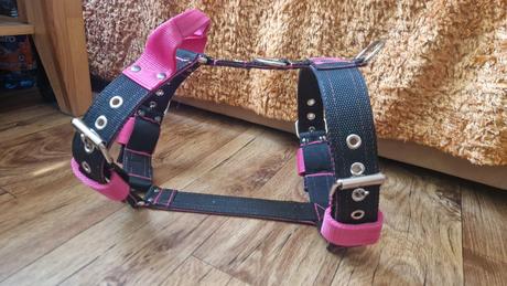 Postroj pre silné bull plemená, 