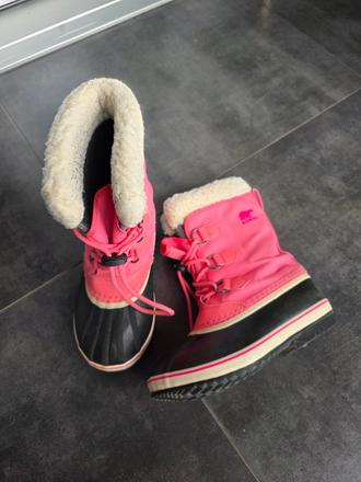 Snehule sorel, sorel,34