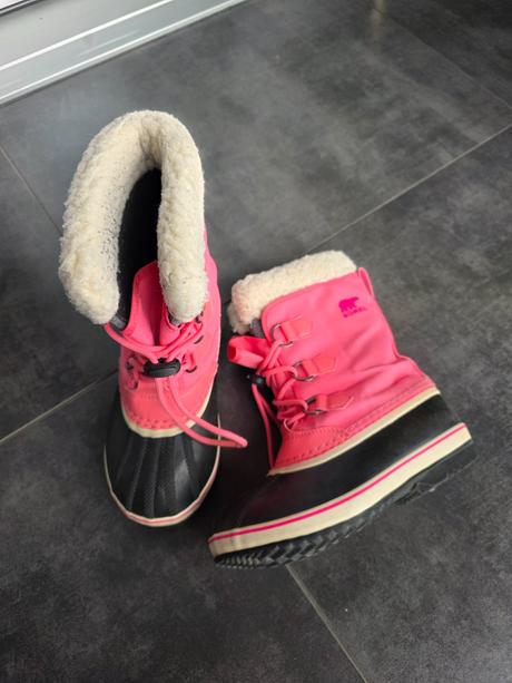 Snehule sorel, sorel,34