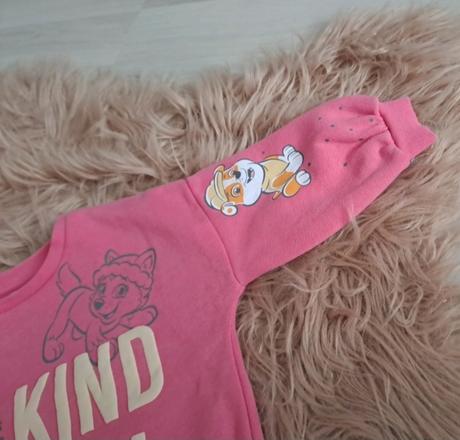 Mikinka paw patrol, 86