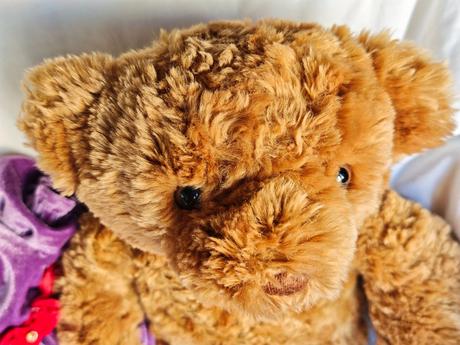 Medvedik build a bear z bear factory,