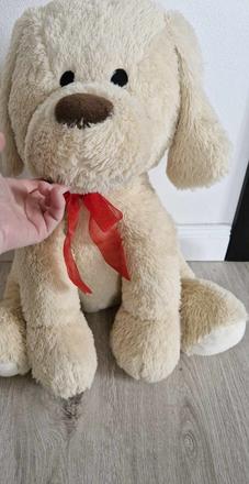 Veľký plyšový pes, 