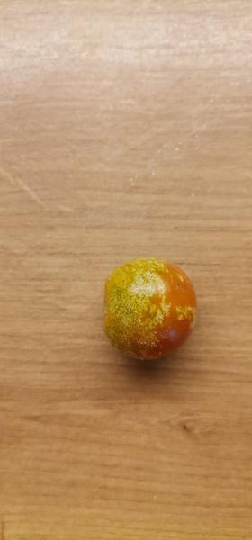 Čo sa stalo s týmito plodmi?