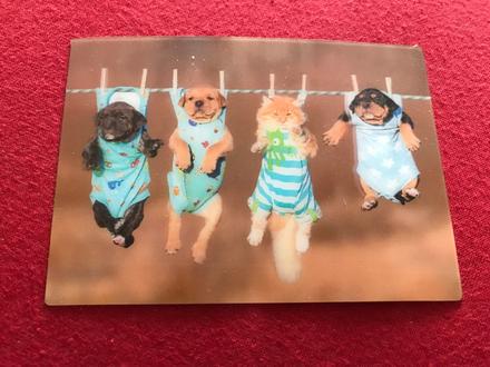 Pohladnica 3d, rozmer 15 x 10,5 cm,