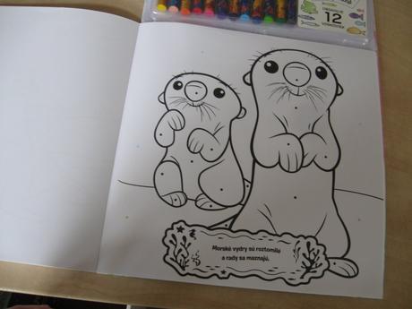 Knižka/maľovánka - maľovanie podľa farieb,