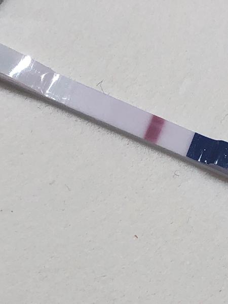 Krvácanie počas uhniezďovania