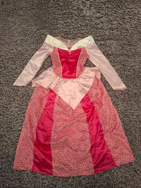 Šaty pre šípkovú ruženku,