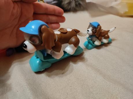 Pet parade psíky na skateboarde,