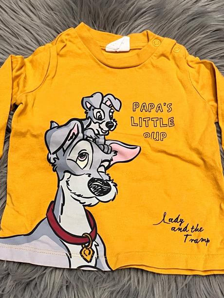 Chlapčenské tričko so psíkmi (62), disney,62