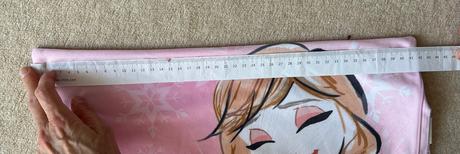 Návliečka na vankúš elsa a anna / frozen /ľadové k,