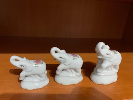 Zberatelske sloniky, 