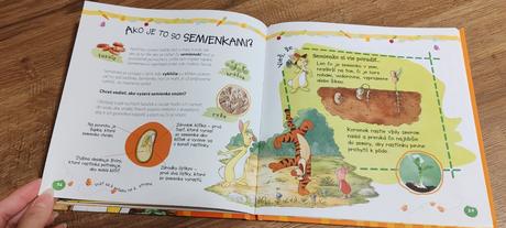 Dupákova záhradka, 