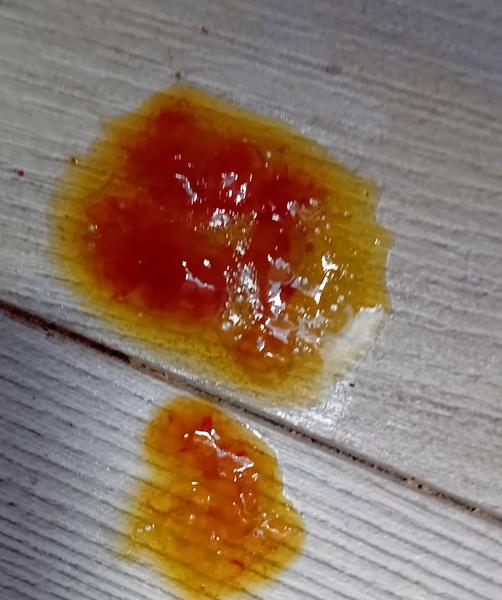 Krvavý hlien u psa: Skúsenosti a rady?