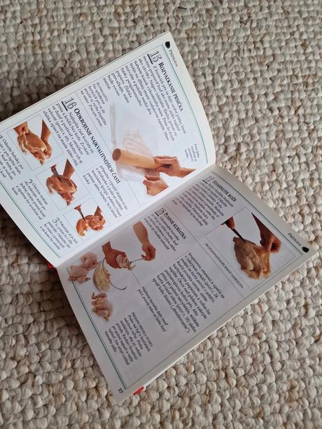 101 praktických rád - pripravujeme kuracinu,