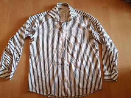 Pruhovana kosela, 41