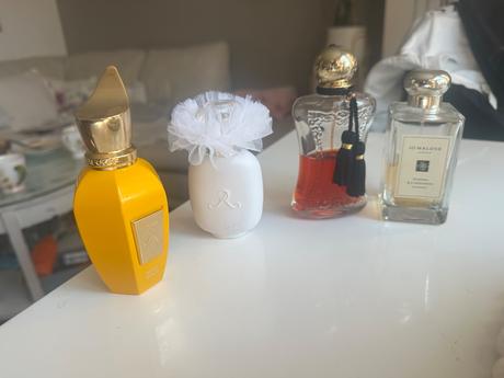 Xerjoff erba pura gold,