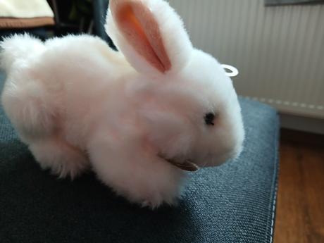 Plysovy zajacikovia rappa, 