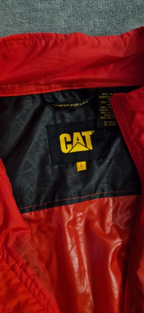 Cat bunda, l