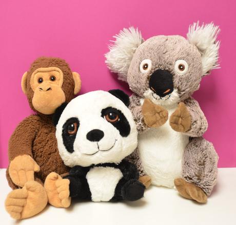 Panda koala opica zoo, 