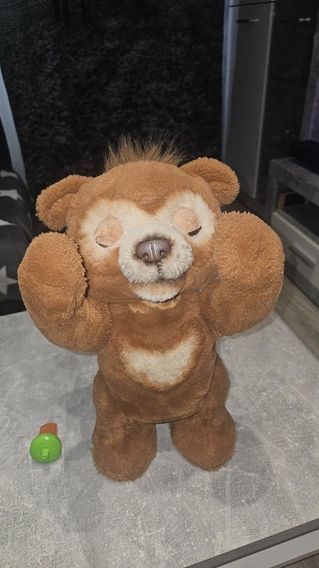 Interaktivny medveď, 