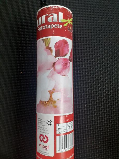 Fototapeta 254 x 184 cm - jabloňové kvety,
