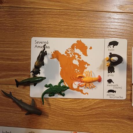 Zvieratá kontinentov, 