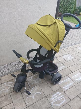 Trojkolka zopa horcicova, zopa