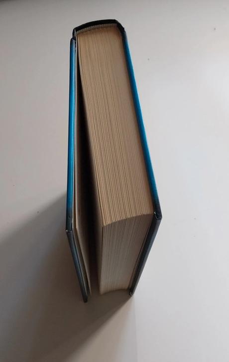 Ashley elston toto je náš pribeh, 