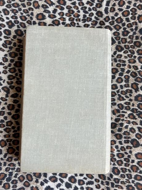 Mladý muž a biela veľryba - vladimír páral,