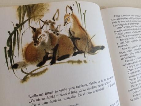 Srnka s červenými hviezdičkami (rudo móric), 