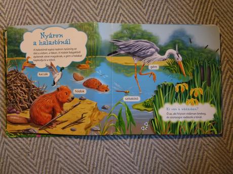 Ki lakik az erdőben,