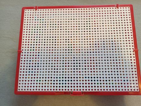 Napichovacie hríbiky, 