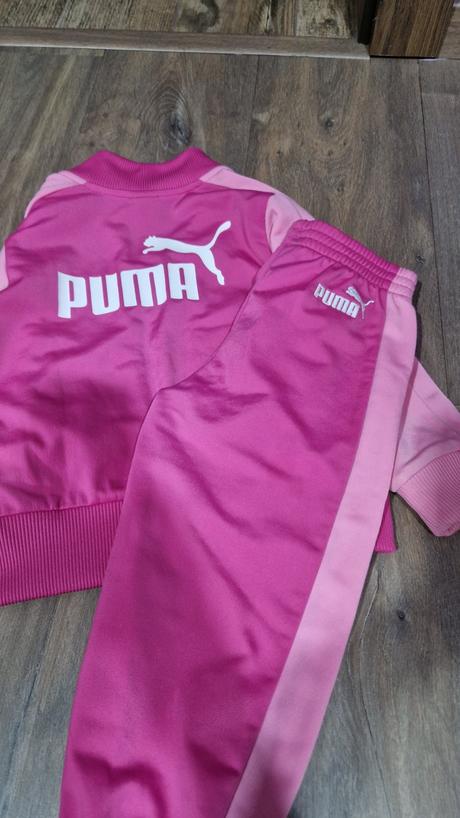 Puma súprava, puma,92