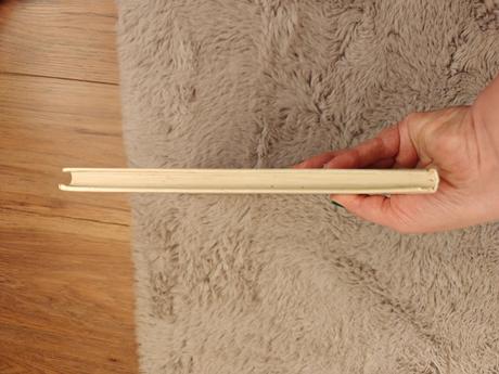 Detská kniha o haríkovi a billovi, dvoch kamarátov,