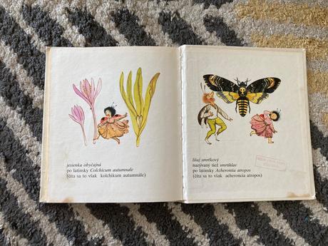 Lienka anulienka-prvé vyd.1982,