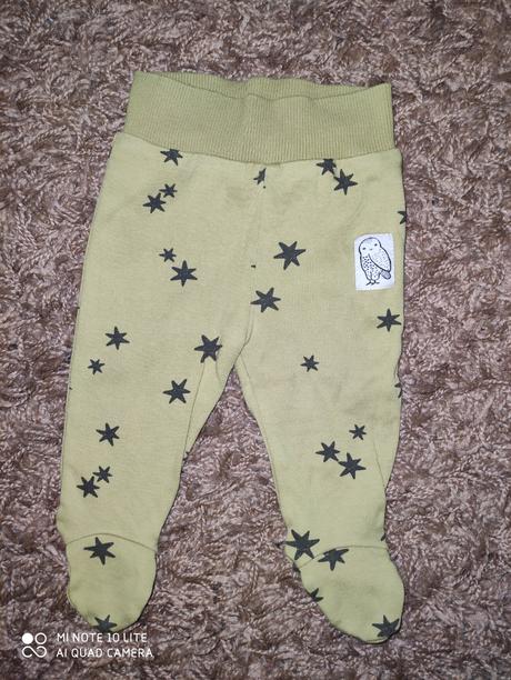 Polodupacky pinokio, pinokio,62