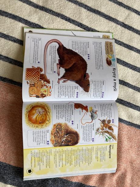 Detská encyklopédia svojtka, 