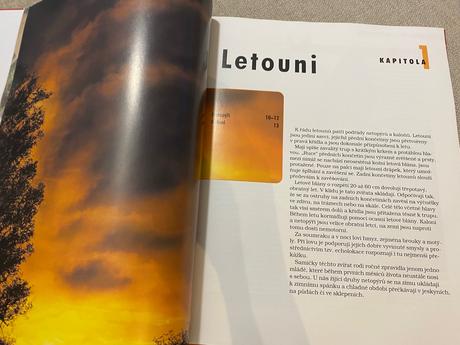 Savci vědomosti v kostce anatomie chování oblasti, 