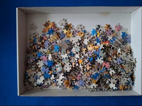 Puzzle castorland, 
