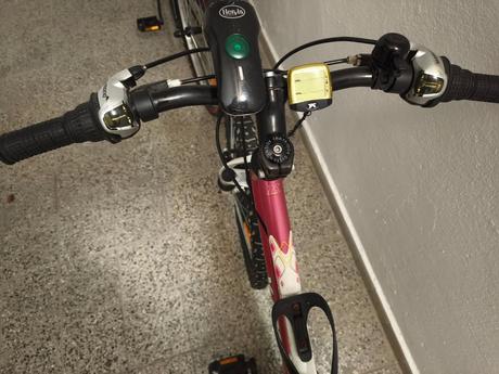 Dievčenský bicykel, 24